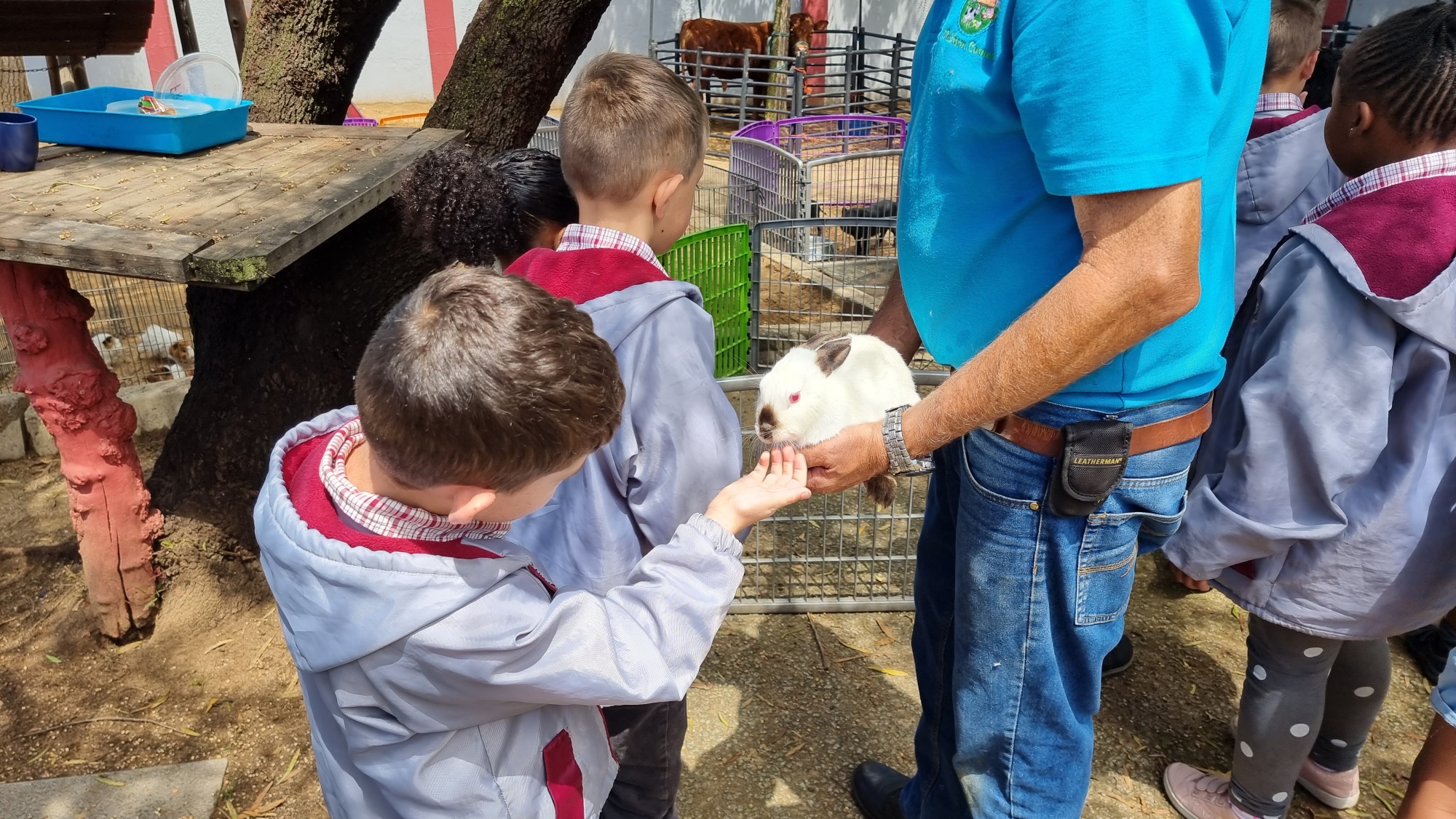 20221109_100714_resized